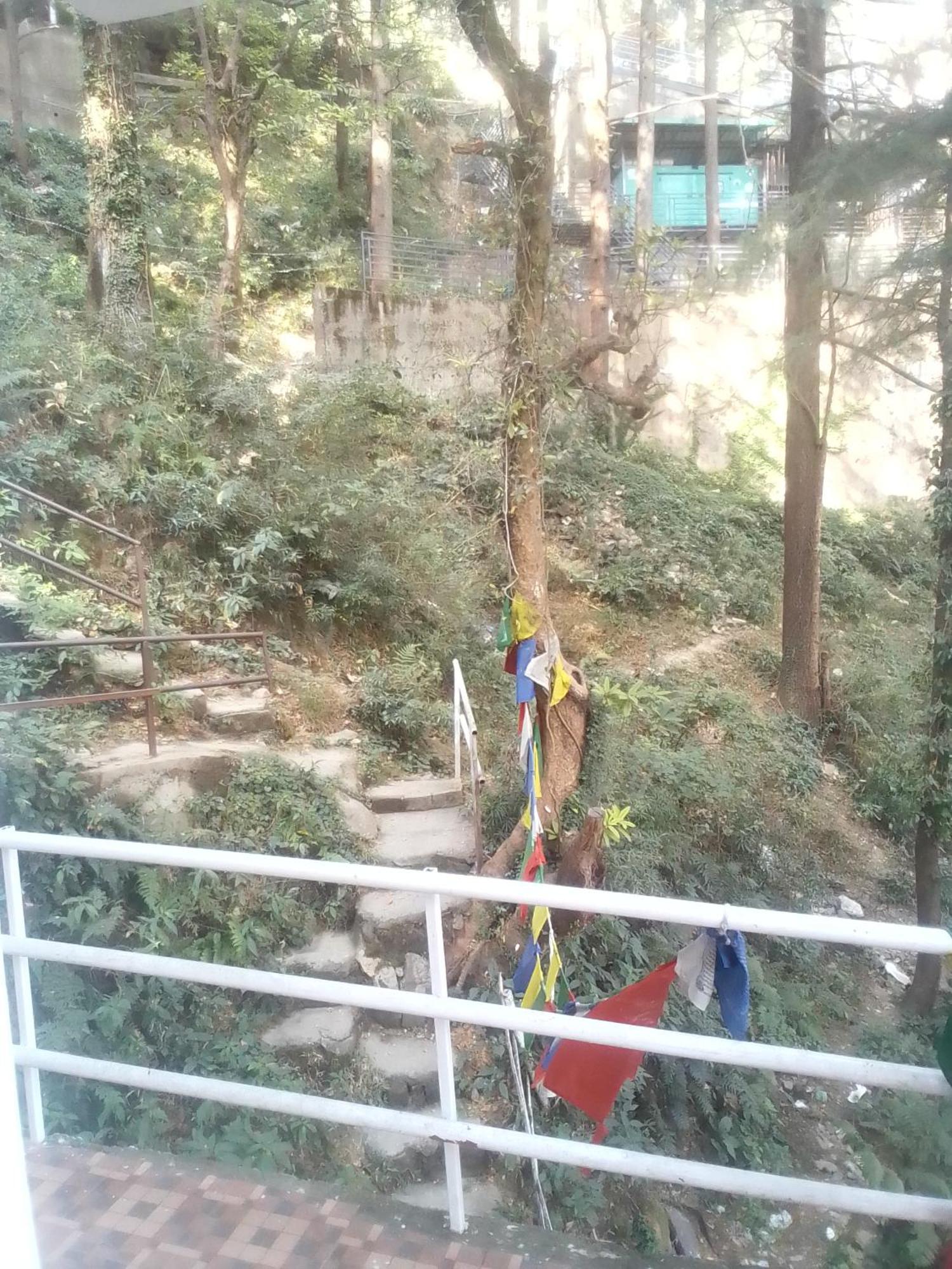 Himalayan Mountain Trekkers And Waterfalls View Hostel McLeod Ganj Eksteriør bilde